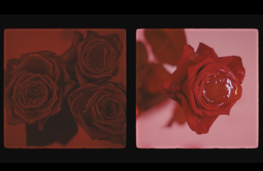 Bild von Roller Derby - Only You