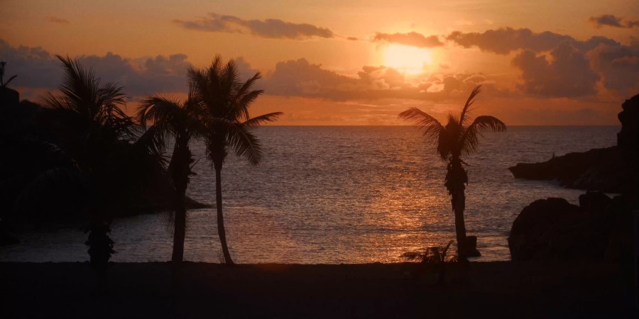 Bild von Mañana Sol